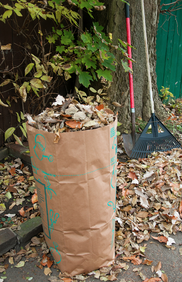 Leaves-in-a-bag